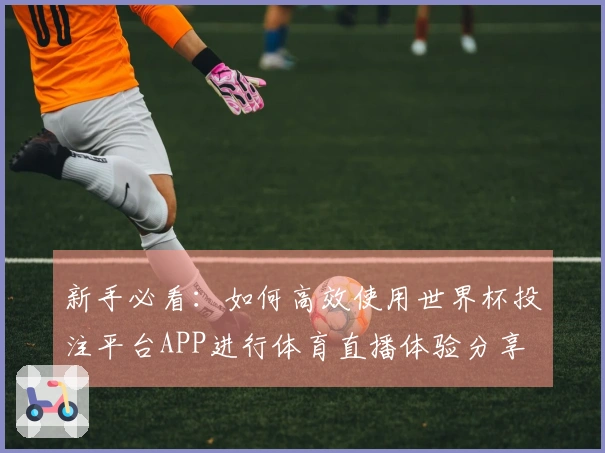 新手必看：如何高效使用世界杯投注平台APP进行体育直播体验分享