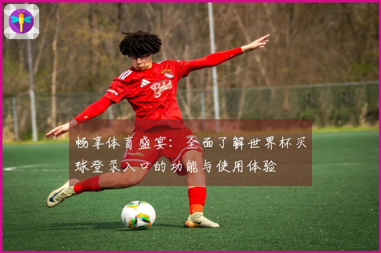 畅享体育盛宴：全面了解世界杯买球登录入口的功能与使用体验