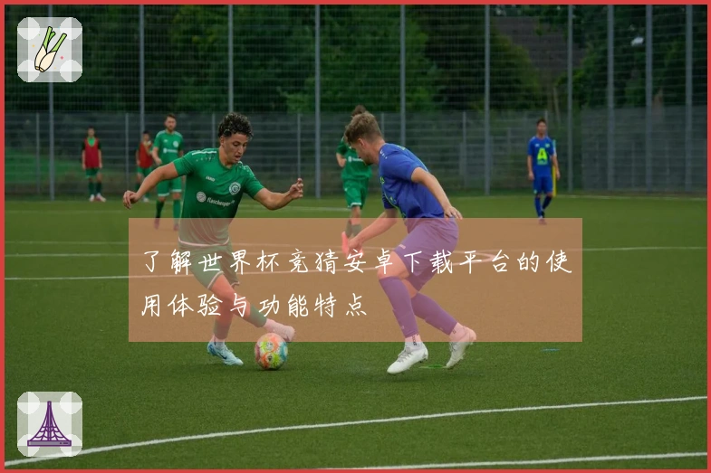 了解世界杯竞猜安卓下载平台的使用体验与功能特点