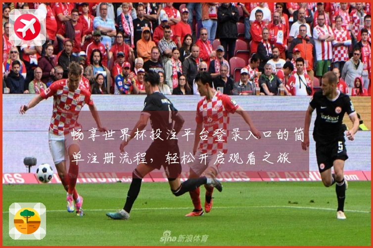 畅享世界杯投注平台登录入口的简单注册流程，轻松开启观看之旅