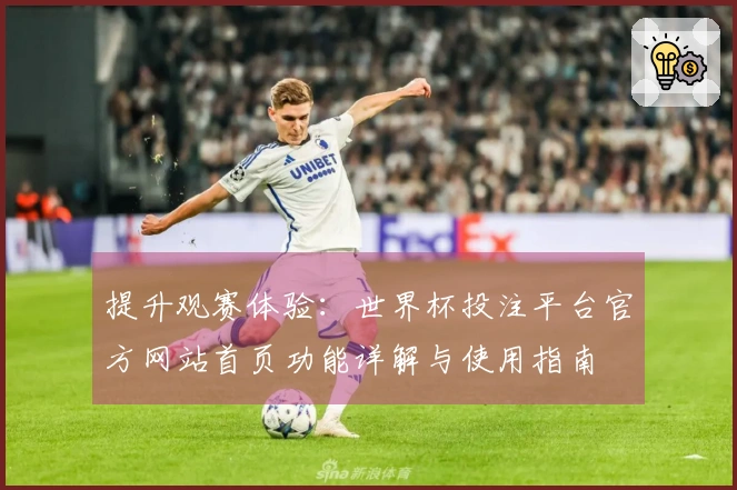 提升观赛体验：世界杯投注平台官方网站首页功能详解与使用指南