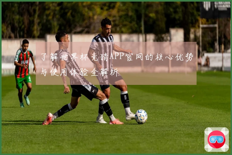 了解世界杯竞猜APP官网的核心优势与使用体验全解析