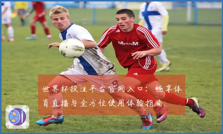 世界杯投注平台官网入口：畅享体育直播与全方位使用体验指南