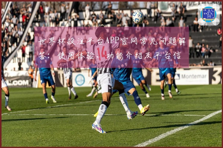 世界杯投注平台APP官网常见问题解答：使用体验、功能介绍及平台信息汇总