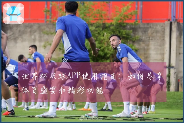 世界杯买球APP使用指南：如何尽享体育盛宴和精彩功能