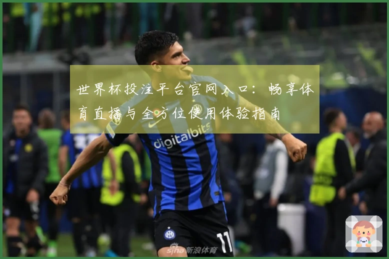 世界杯投注平台官网入口:畅享体育直播与全方位使用体验指南