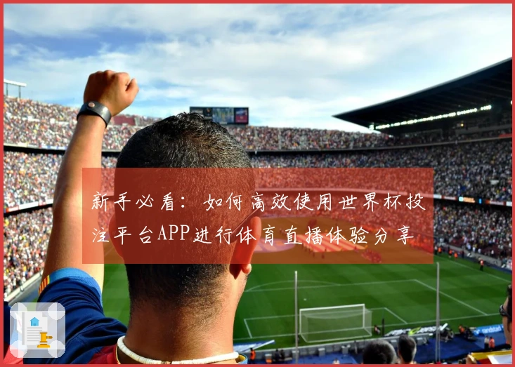 新手必看：如何高效使用世界杯投注平台APP进行体育直播体验分享