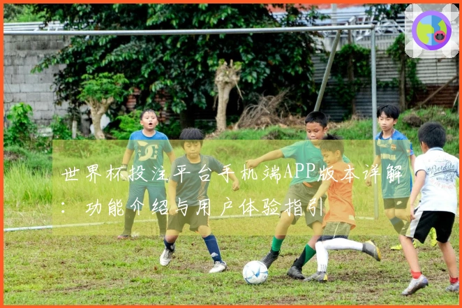 世界杯投注平台手机端APP版本详解：功能介绍与用户体验指引