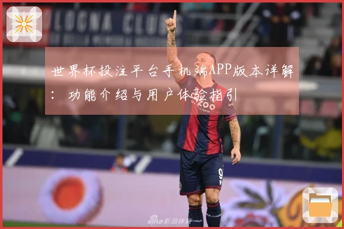 世界杯投注平台手机端APP版本详解：功能介绍与用户体验指引